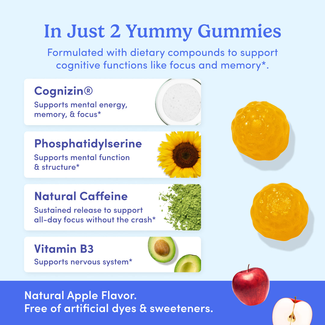 Men's Daily Focus Brain Support - Image 3